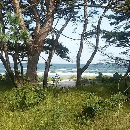 Gardensuite アパート *